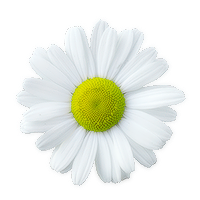 designed by lily.